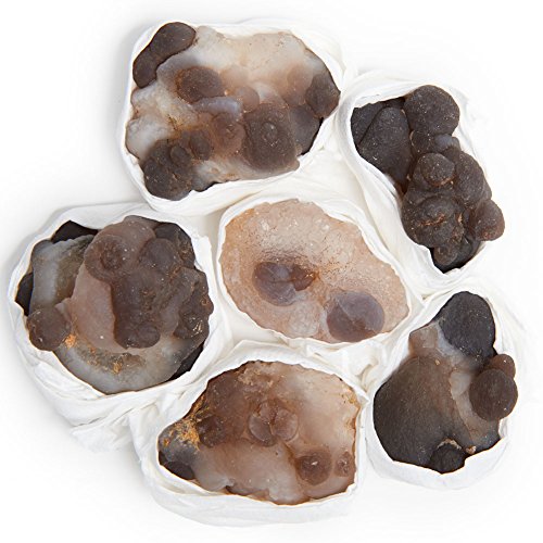 Digging Dolls: New FIND - 1 lb of Bubble Agate Chalcedony Rough Rocks from  Morocco - Raw Natural Crystals and Stones for Arts, Crafts, Tumbling