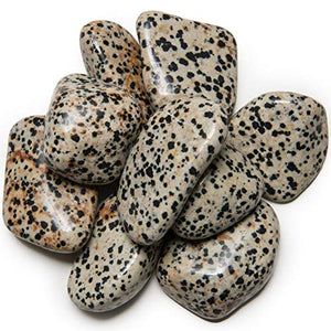 Digging Dolls: 2 lbs of Extra Large Dalmatian Jasper A Grade Stones from Brazil - Tumbled Rocks Perfect for Art, Crafts, Reiki, Wicca and Wire Wrapping!