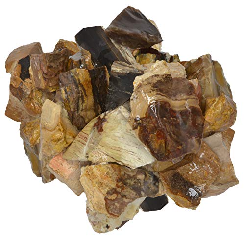 Digging Dolls: 2 lbs of Picture Jasper Rough Stones from India - Raw Rocks Perfect for Tumbling, Lapidary Polishing, Reiki, Crystal Healing and Crafts!