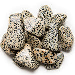 Digging Dolls: 1/2 lb of Large Dalmatian Jasper A Grade Stones from Brazil - Tumbled Rocks Perfect for Art, Crafts, Reiki, Wicca and Wire Wrapping!