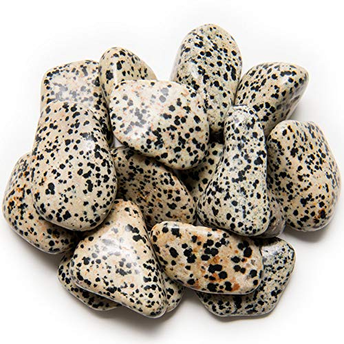 Digging Dolls: 3 lbs of Large Dalmatian Jasper A Grade Stones from Brazil - Tumbled Rocks Perfect for Art, Crafts, Reiki, Wicca and Wire Wrapping!