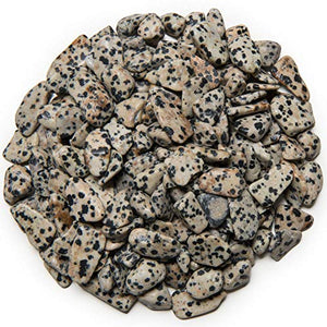 Digging Dolls: 1 lb of XXSmall Dalmatian Jasper A Grade Stones from Brazil - Tumbled Rocks Perfect for Art, Crafts, Reiki, Wicca and Wire Wrapping!