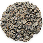 Digging Dolls: 1/2 lb of XXSmall Dalmatian Jasper A Grade Stones from Brazil - Tumbled Rocks Perfect for Art, Crafts, Reiki, Wicca and Wire Wrapping!